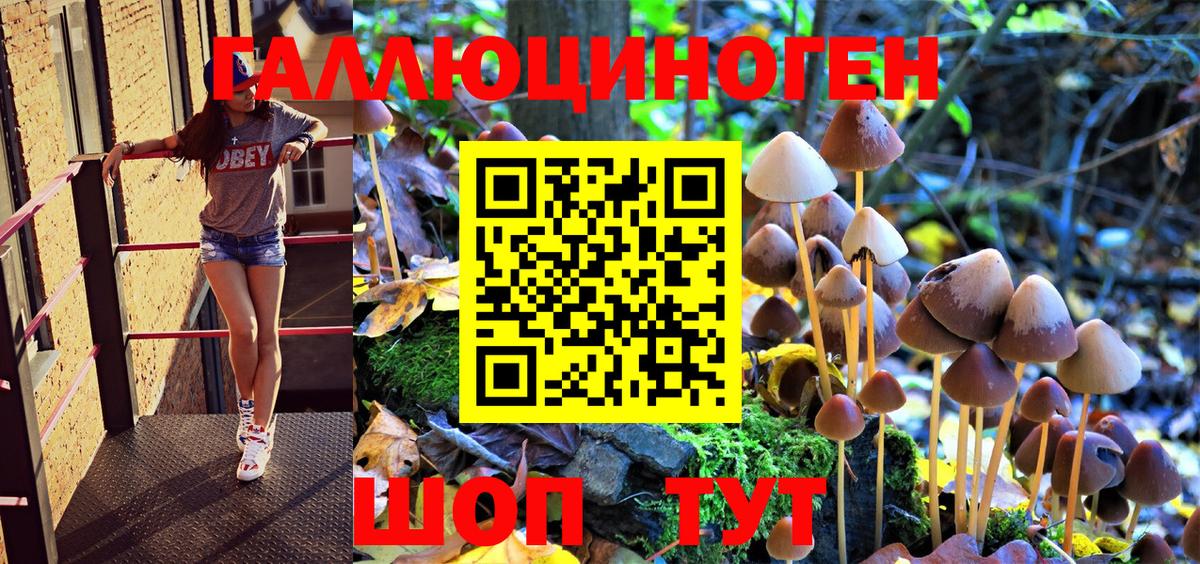 Коммунар  Галлюциногенные грибы Psilocybe  Вход с VPN  Галлюциногенные грибы мицелий 