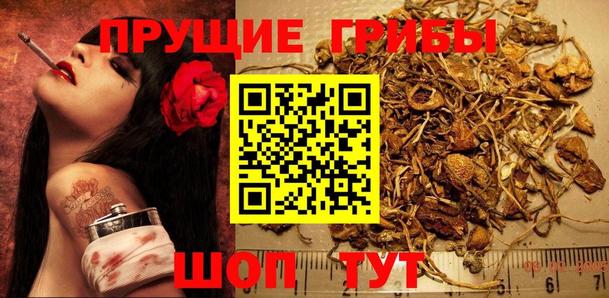 Галлюциногенные грибы ЛСД Коммунар